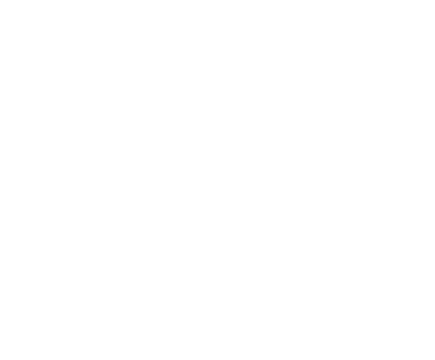 1st image description